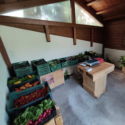 immagine uno feeducia azienda agricola colle umberto